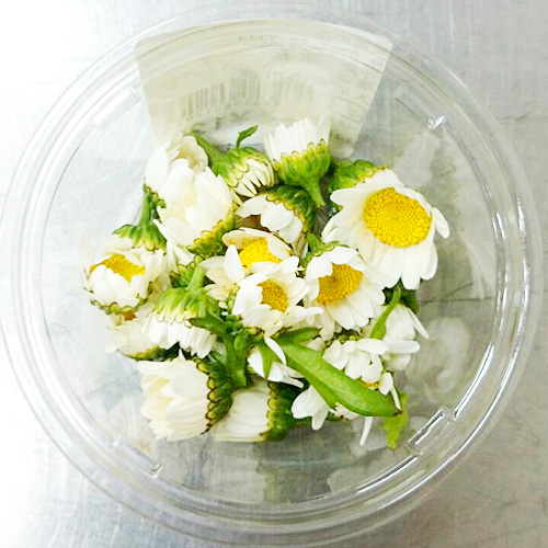 エディブルフラワー ノースポール 食べられるお花とエディブルフラワーソルト 花の塩 を販売